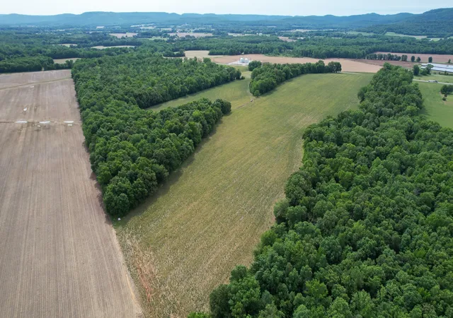 78th image of 498 John Hunter Hwy E, Elora, TN 37328 | MLS# 3306711