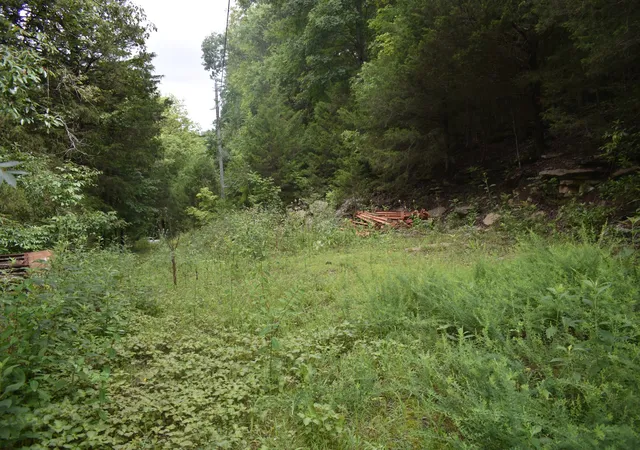 3rd image of 0 Ben Gentry Ln, Elmwood, TN 38560 | MLS# 3278651