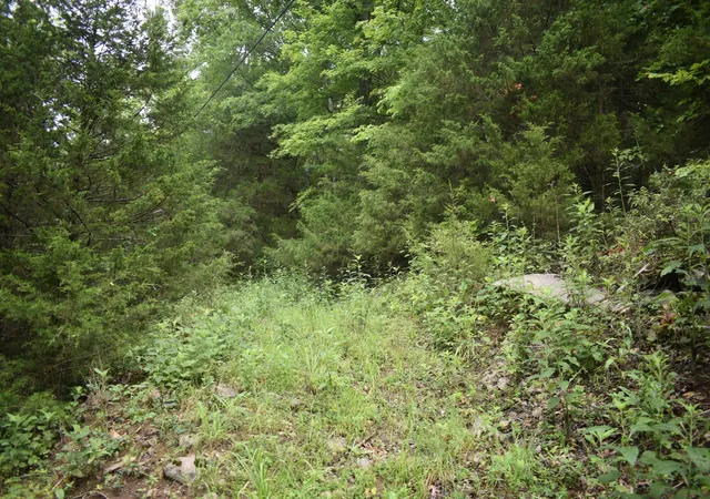 4th image of 0 Ben Gentry Ln, Elmwood, TN 38560 | MLS# 3278651