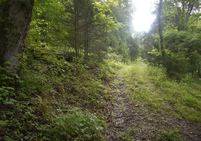 2nd image of 0 Ben Gentry Ln, Elmwood, TN 38560 | MLS# 3278651