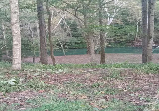 4th image of 6750 Spencer Rd, Rock Island, TN 38581 | MLS# 3276650