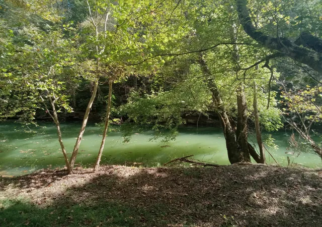 5th image of 6750 Spencer Rd, Rock Island, TN 38581 | MLS# 3276650