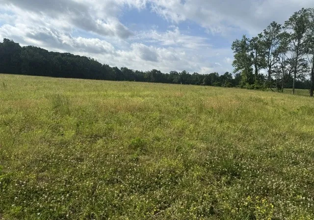 28th image of 0 W Mt Vernon Road, Bethpage, TN 37022 | MLS# 3276712