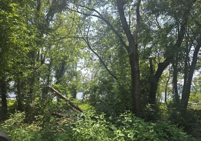 Photo 3 of Land for sale at 480 Blf Point Ridge Rd, Waverly, TN 37185 | MLS# 3285665 | Listing updated on 2026-08-20