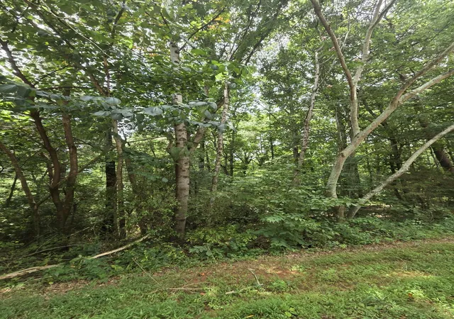 2nd image of 0 Callen Cove, Athens, TN 37303 | MLS# 3277246