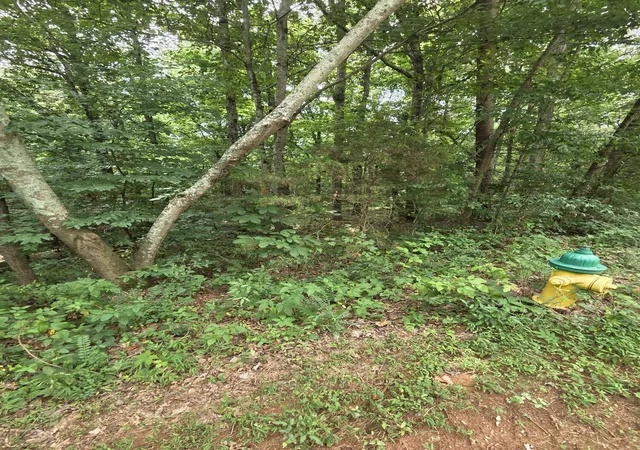 3rd image of 0 Callen Cove, Athens, TN 37303 | MLS# 3277246