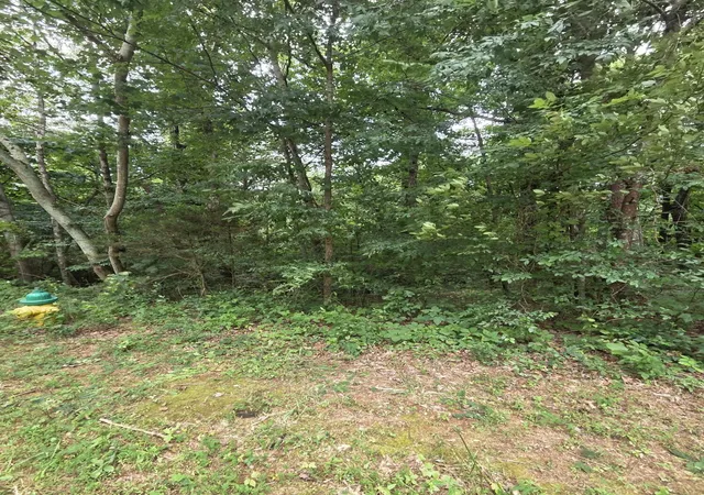 4th image of 0 Callen Cove, Athens, TN 37303 | MLS# 3277246