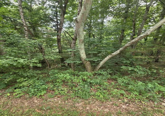 5th image of 0 Callen Cove, Athens, TN 37303 | MLS# 3277246