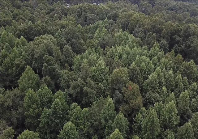 2nd image of 0 Hatley Rd, Lyles, TN 37098 | MLS# 3282587