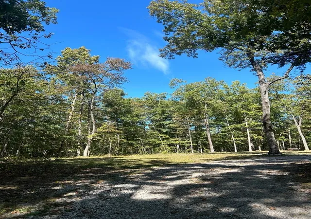 5th image of 1345 Simmons Rd, Pikeville, TN 37367 | MLS# 3277678