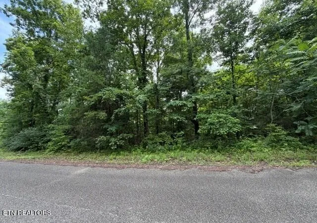 1st image of 0 Saddleridge Dr Dr, Speedwell, TN 37870 | MLS# 3311888
