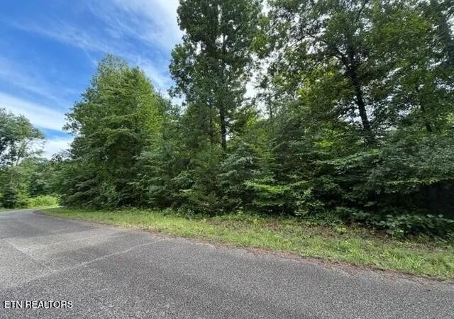 2nd image of 0 Saddleridge Dr Dr, Speedwell, TN 37870 | MLS# 3311888