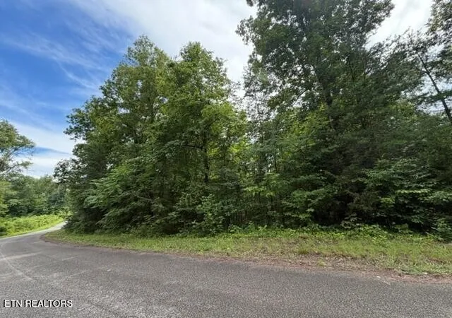 3rd image of 0 Saddleridge Dr Dr, Speedwell, TN 37870 | MLS# 3311888