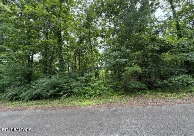 4th image of 0 Saddleridge Dr Dr, Speedwell, TN 37870 | MLS# 3311888