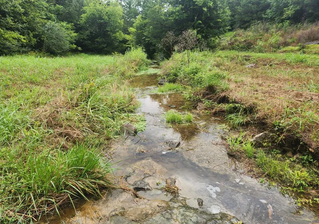 1st image of 0 Tolbert Hollow Rd, Bradyville, TN 37026 | MLS# 3278179