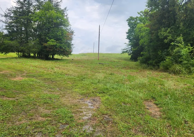 10th image of 0 Tolbert Hollow Rd, Bradyville, TN 37026 | MLS# 3278179