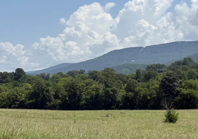 Photo 3 of Land for sale at 0 Howard Beavert Rd, Pikeville, TN 37367 | MLS# 3278528 | Listing updated on 2026-08-27