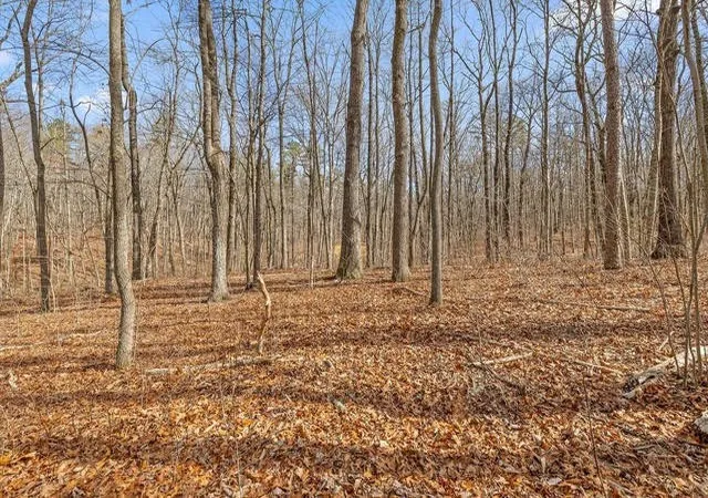 1st image of 8307 Bear Paw Trail, Signal Mountain, TN 37377 | MLS# 3278542