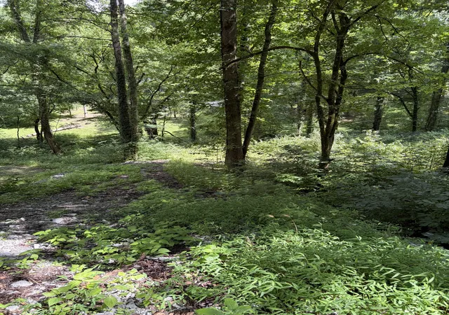 2nd image of 0 Harbor Dr, Lancaster, TN 38569 | MLS# 3278656