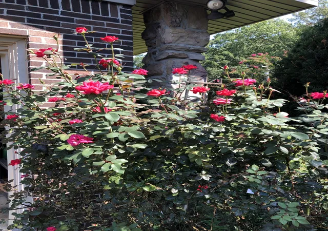 Photo 4 of Single family home for sale at 312 Harris Chapel Rd, Estill Springs, TN 37330 | MLS# 3510726 | Listing updated on 2026-08-31