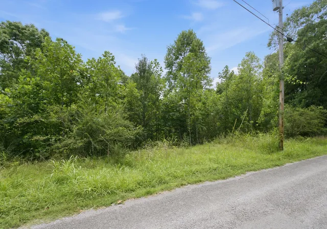 12th image of 0 Trailwood Court, Joelton, TN 37080 | MLS# 3285922