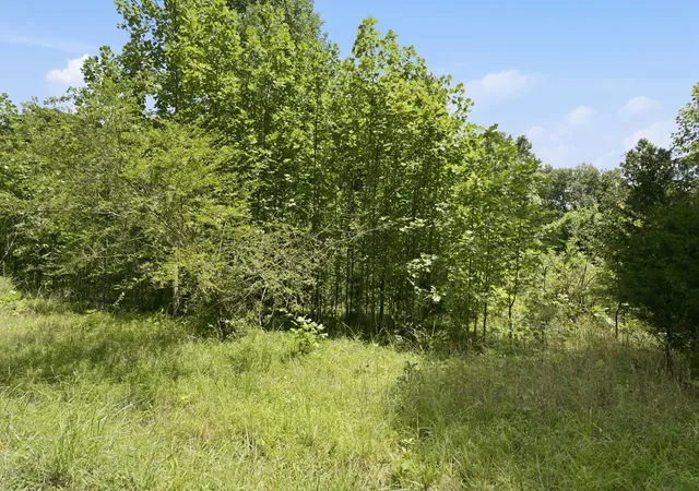 2nd image of 0 Trailwood Court, Joelton, TN 37080 | MLS# 3285922