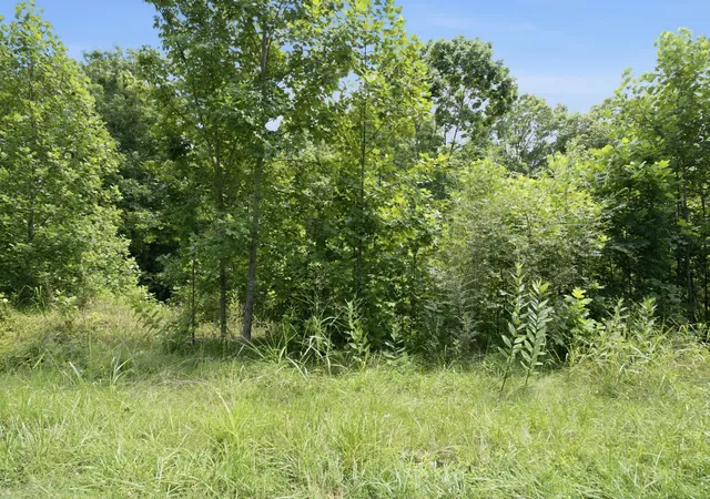 4th image of 0 Trailwood Court, Joelton, TN 37080 | MLS# 3285922