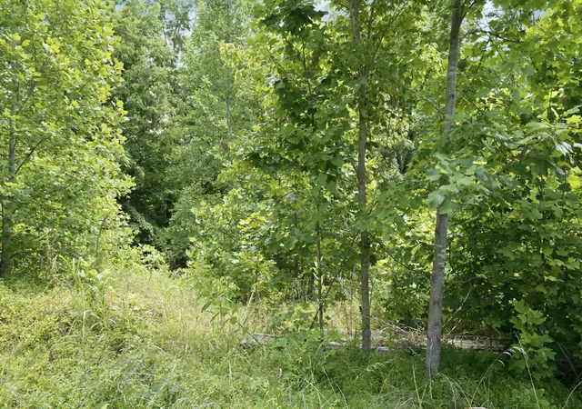 5th image of 0 Trailwood Court, Joelton, TN 37080 | MLS# 3285922