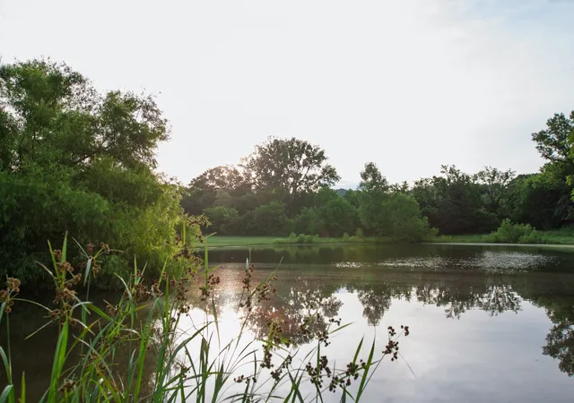 Photo 2 of Land for sale at 2023 Dr Robertson Rd, Spring Hill, TN 37174 | MLS# 3279295 | Listing updated on 2026-08-26