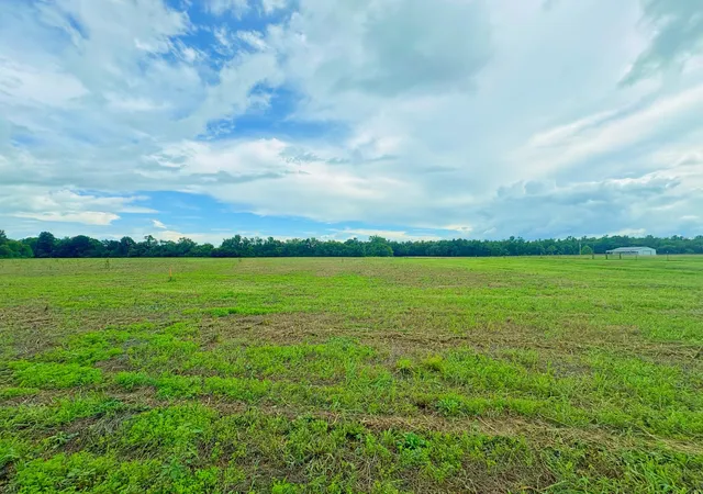 1st image of 0 Duncan Rd, Manchester, TN 37355 | MLS# 3279289