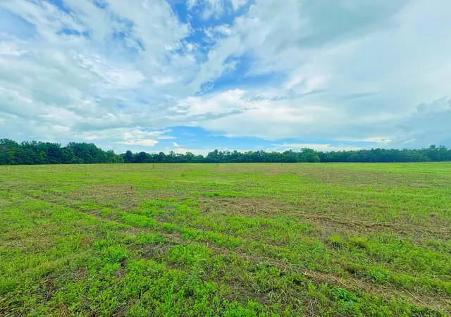 2nd image of 0 Duncan Rd, Manchester, TN 37355 | MLS# 3279289