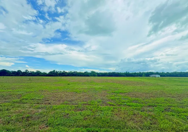 4th image of 0 Duncan Rd, Manchester, TN 37355 | MLS# 3279289