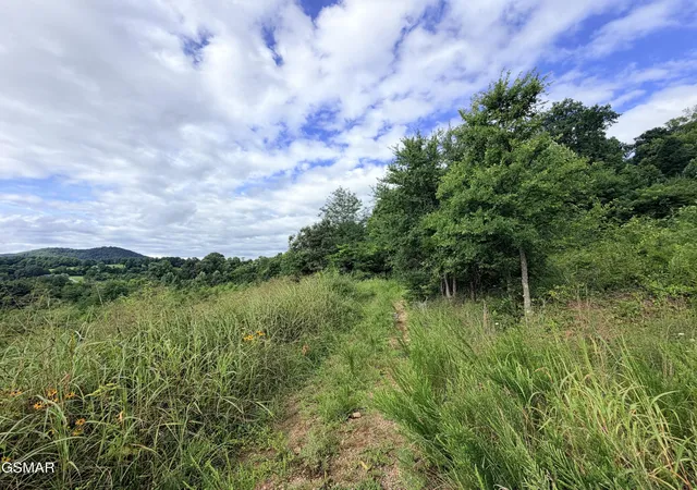5th image of 500 Wild Cherry Way, Newport, TN 37821 | MLS# 3320276
