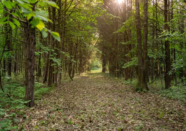Photo 1 of Land for sale at 0 Fellowship Rd, Mount Juliet, TN 37122 | MLS# 3279299 | Listing updated on 2026-08-20