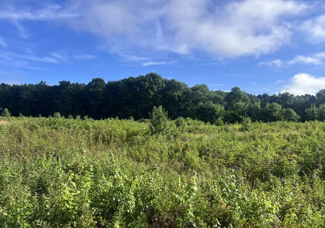 Photo 1 of Sale Pending at 0 Taylors Chapel Rd, Crossville, TN 38572 | MLS# 3279304 | Listing updated on 2026-09-07