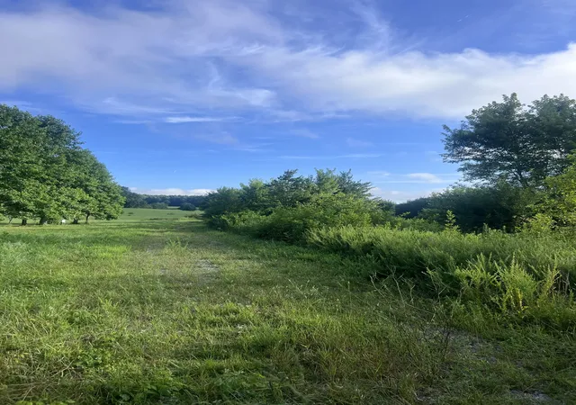 Photo 2 of Sale Pending at 0 Taylors Chapel Rd, Crossville, TN 38572 | MLS# 3279304 | Listing updated on 2026-09-07