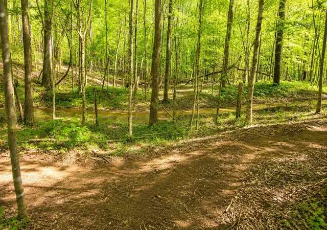 42nd image of 3515 Hwy 48, Cunningham, TN 37052 | MLS# 3283834