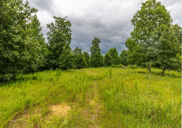 1st image of 210 Loveman Lane, Hampshire, TN 38461 | MLS# 3303996