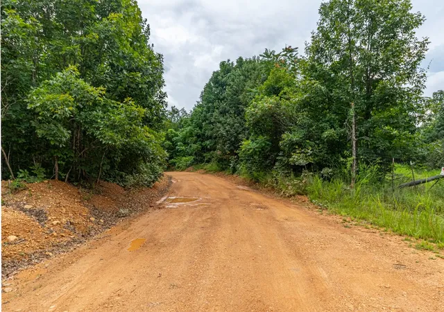 3rd image of 210 Loveman Lane, Hampshire, TN 38461 | MLS# 3303996