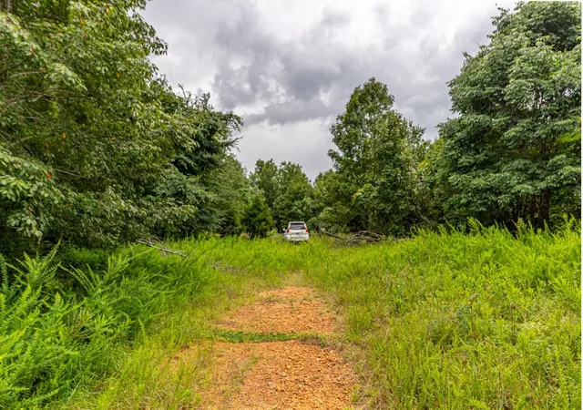 4th image of 210 Loveman Lane, Hampshire, TN 38461 | MLS# 3303996