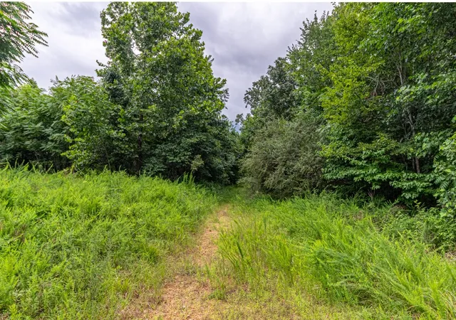 5th image of 210 Loveman Lane, Hampshire, TN 38461 | MLS# 3303996