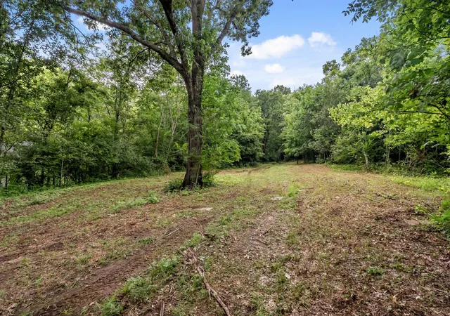 Photo 4 of Land for sale at 0 Carters Crk Pike, Franklin, TN 37064 | MLS# 3305608 | Listing updated on 2026-07-24