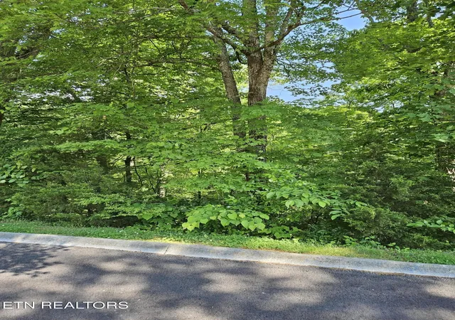 Photo 1 of Land for sale at 15 Saddleback Way, Sevierville, TN 37862 | MLS# 3536032 | Listing updated on 2026-09-03
