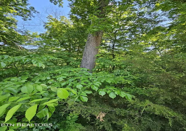 Photo 2 of Land for sale at 15 Saddleback Way, Sevierville, TN 37862 | MLS# 3536032 | Listing updated on 2026-09-03