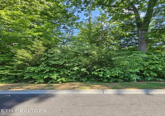 Photo 3 of Land for sale at 15 Saddleback Way, Sevierville, TN 37862 | MLS# 3536032 | Listing updated on 2026-09-03