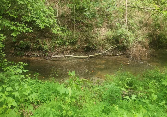 Photo 4 of Land for sale at 0 Tidwell Switch Rd, Bon Aqua, TN 37025 | MLS# 3286203 | Listing updated on 2026-08-31