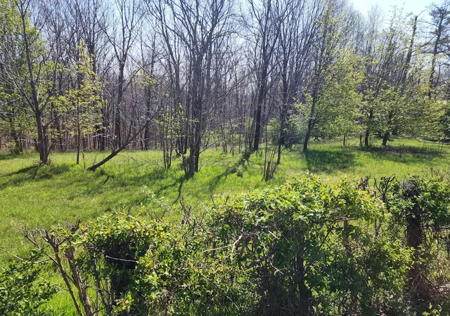 3rd image of 0 Davis Hollow Rd, Franklin, TN 37064 | MLS# 3281327