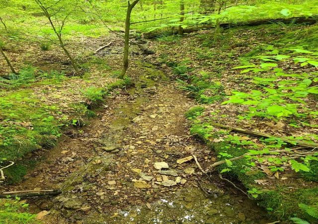 4th image of 0 Davis Hollow Rd, Franklin, TN 37064 | MLS# 3281327