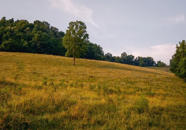 Photo 75 of Land for sale at 2405 Thompson Rd, Lewisburg, TN 37091 | MLS# 3281384 | Listing updated on 2026-07-15