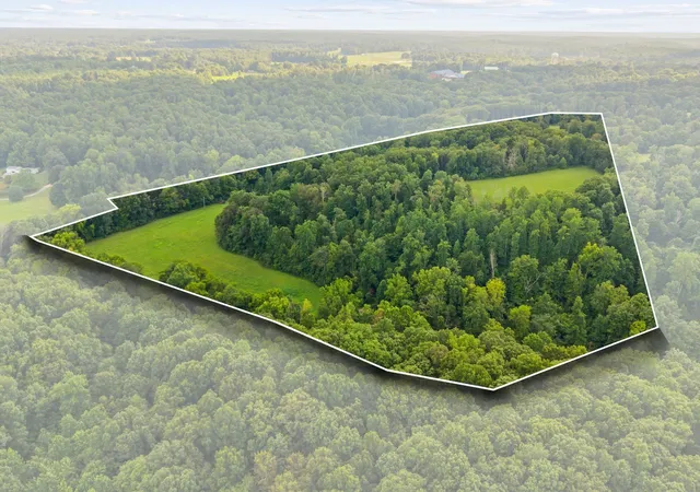 2nd image of 1150 Bell Hollow Rd, Vanleer, TN 37181 | MLS# 3311980